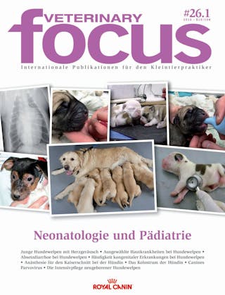 Neonatologie und Pädiatrie